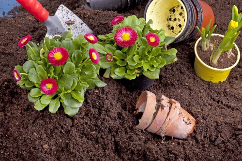 Gardener working in a suburban Mortlake garden