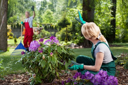Team of gardeners with tools preparing to begin work in a residential garden