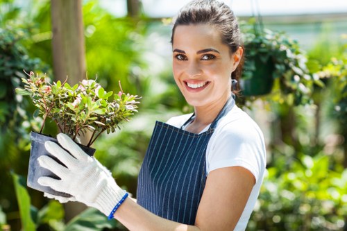 Selection of hedge trimming tools for a neat garden