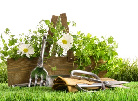 Secure checkout tips for Gardening Services Mortlake customers