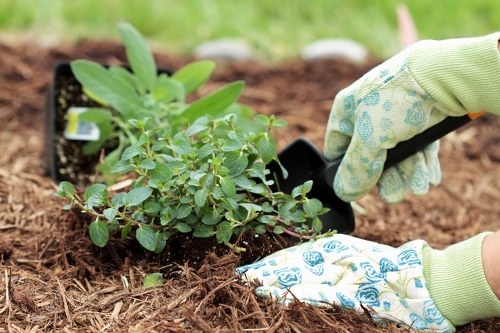 Garden design consultation meeting