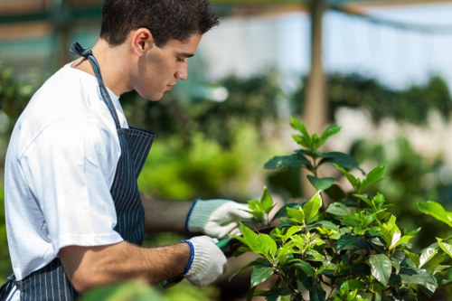 Professional gardeners maintaining a garden
